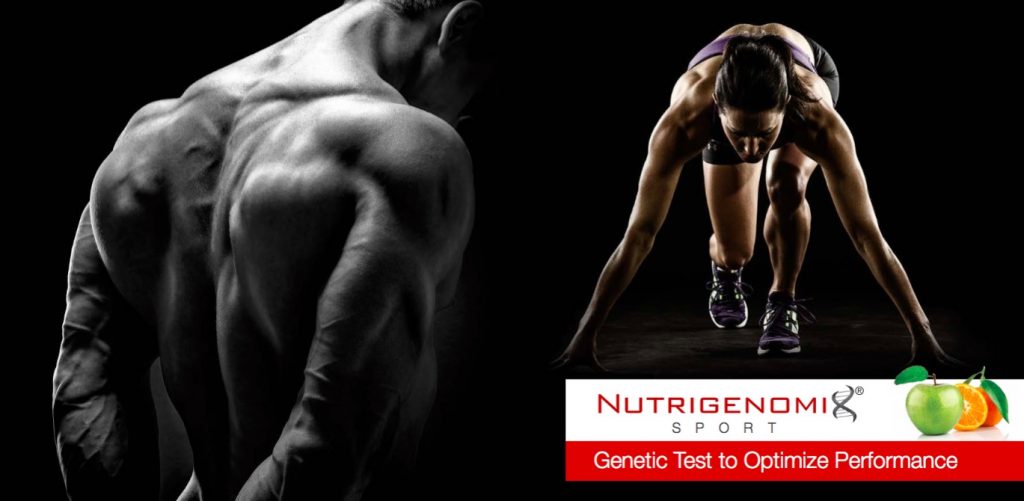 Nutrigenomix Sports Test